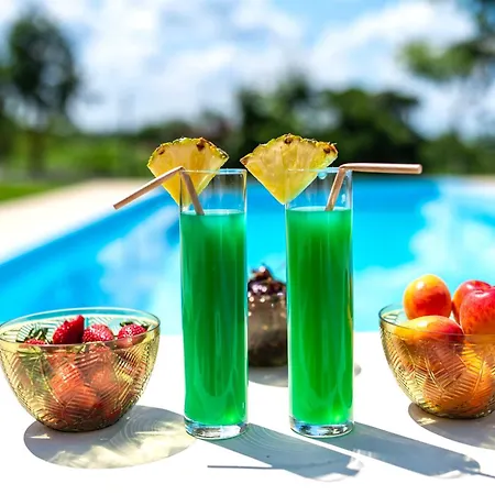 Villa Four Seasons Casa Novi Sad *