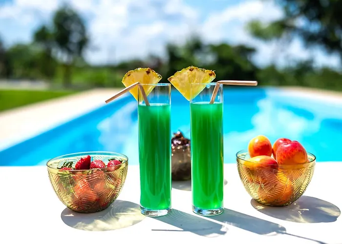 Villa Four Seasons Casa Novi Sad *